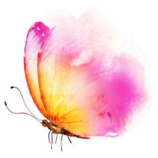 Pink and Yellow Watercolor Butterfly Sticker