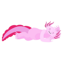Pink Axolotl Sleeping Sticker