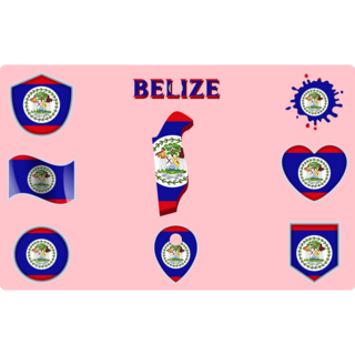 Pink Belize Sticker Sheet