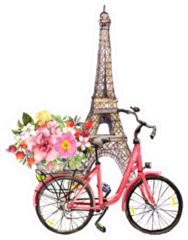 Pink Bicycle With Flowers In Basket And Eiffel Tower Sticker