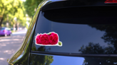 Pink Carnations Sticker on a Rear Car Window (New) example