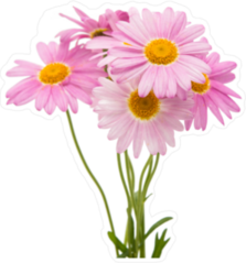 Pink Daisy Flower Sticker