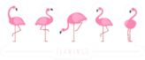 Pink Flamingo Cartoon Set Sticker