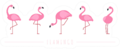 Pink Flamingo Cartoon Set Sticker