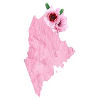 Pink FLoral Maine State Map Sticker