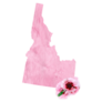 Pink Fur Idaho Floral Sticker