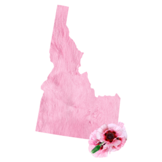 Pink Fur Idaho Floral Sticker