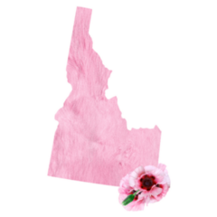Pink Fur Idaho Floral Sticker