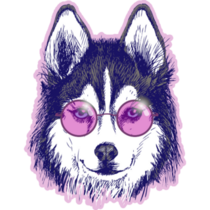 Pink Glasses Husky Sticker