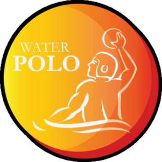 Pink Gradient Water Polo Sticker