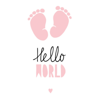 Pink Little Baby Feet Sticker