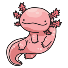 Pink Mexican Axolotl Sticker