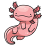 Pink Mexican Axolotl Sticker
