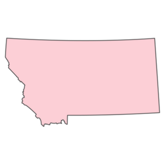 Pink Montana Map Sticker