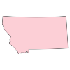 Pink Montana Map Sticker