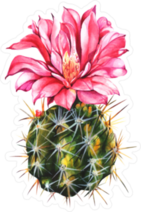 Pink Pineapple Cactus Sticker