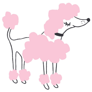 Pink Poodle Illustration Sticker