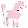 Pink Poodle Illustration Sticker