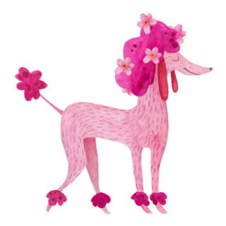 Pink Poodle Smiling Bright Sticker