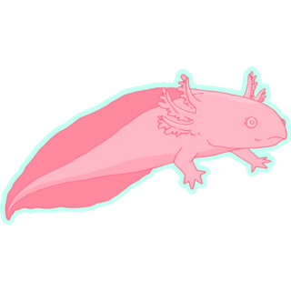 Pink Sea Axolotl Sticker