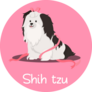 Pink Shih Tzu Dog Sticker