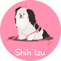 Pink Shih Tzu Dog Sticker