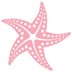 Pink Spot Starfish Sticker