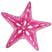 Pink Starfish Sticker