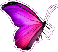 Pink Violet Butterfly Sticker