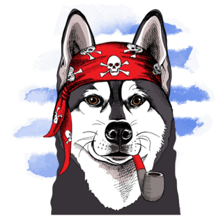Pirate Husky Sticker