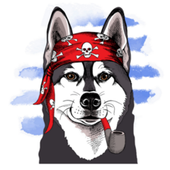 Pirate Husky Sticker