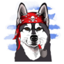Pirate Husky Sticker