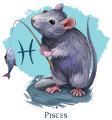 Pisces Creative Illustration Of Astrological Sign Rat Sticker