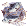 Pisces - Zodiac Symbol In Watercolor Sticker