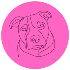 Pit Bull Pink Sticker