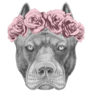 Pitbull Floral Head Sticker