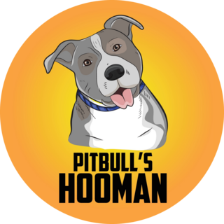 Pitbulls Hooman Sticker