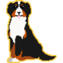 Pixel Bernese Yellow Sticker