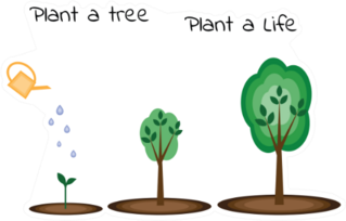 Plant A Tree Plant A Life Sticker