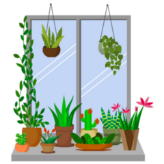 Plants Hanging Above and On a Windowsill Sticker