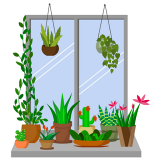 Plants Hanging Above and On a Windowsill Sticker