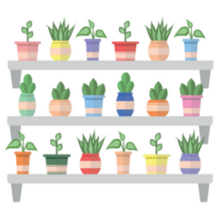 Plants In Pots On The Shelves Green Plants And Cactus Sticker