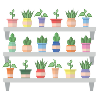 Plants In Pots On The Shelves Green Plants And Cactus Sticker