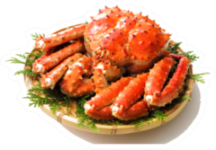 Plated Red King Crab Sticker