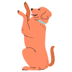 Playful Labrador Sticker