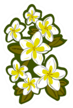 Plumeria Flower Hawaiian Floral Pattern Sticker