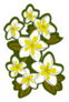 Plumeria Flower Hawaiian Floral Pattern Sticker
