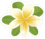 Plumeria Flower Sticker