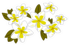 Plumeria Flowers Floral Tropical Set Sticker