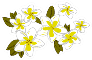 Plumeria Flowers Floral Tropical Set Sticker